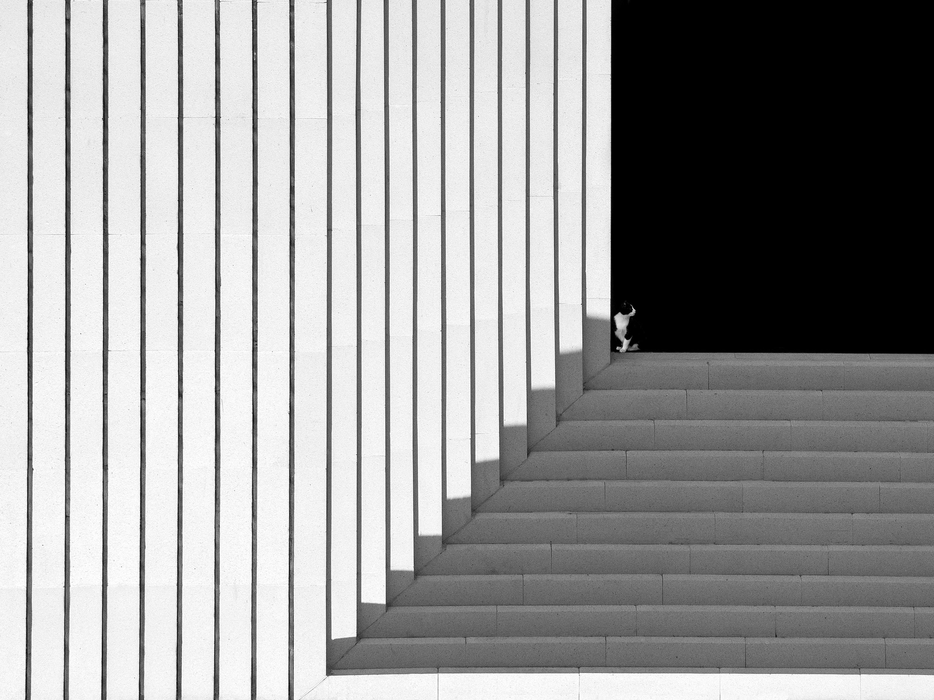 Threshold/ Echoes of structure