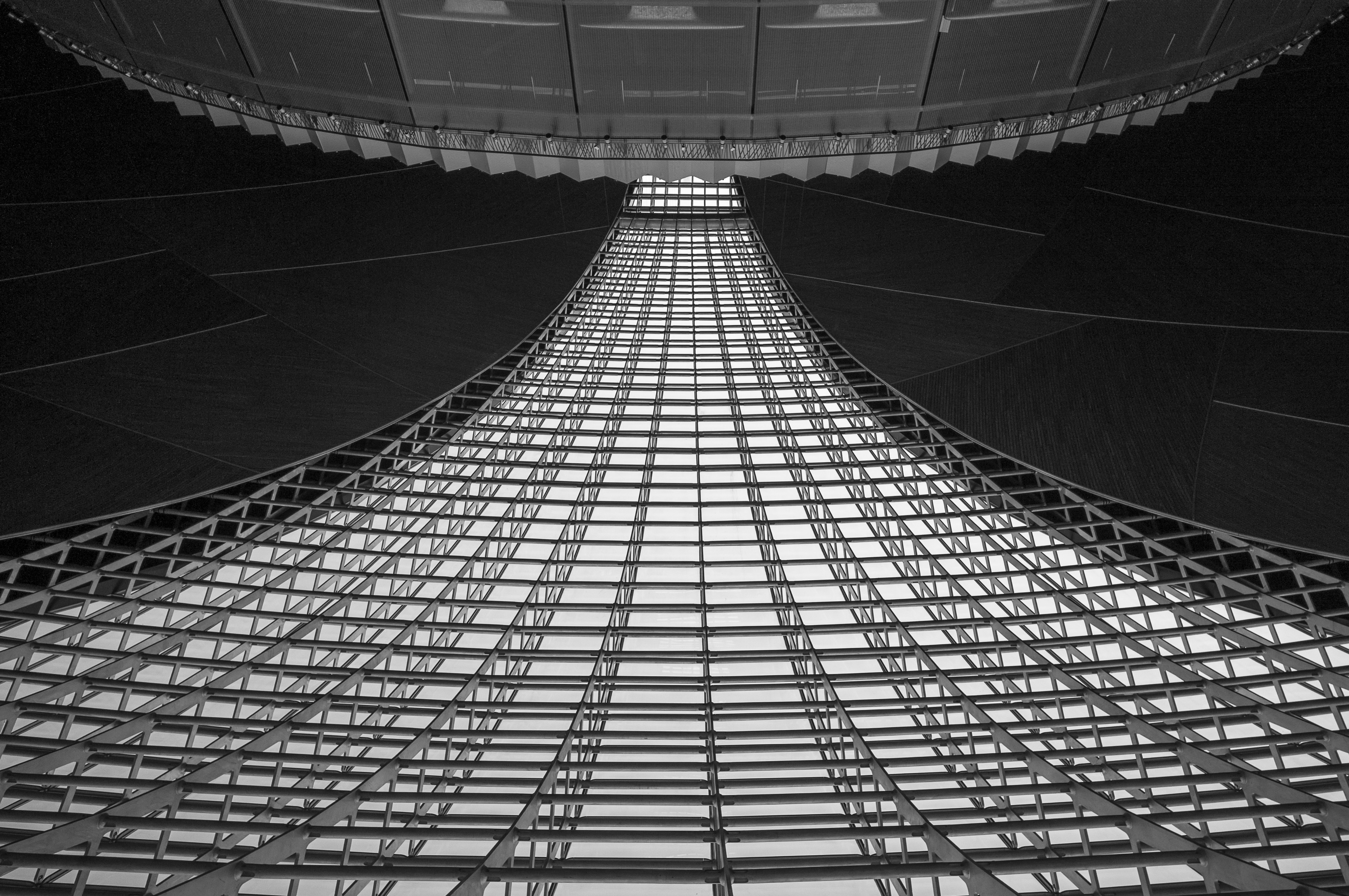 The Heart of The GIANT Egg